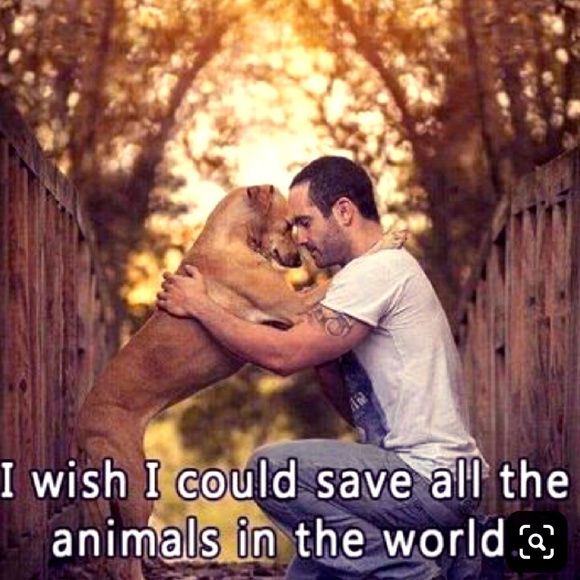 Save All The Animals Other - 💕I SELL TO SUPPORT ANIMALS IN NEED💕
